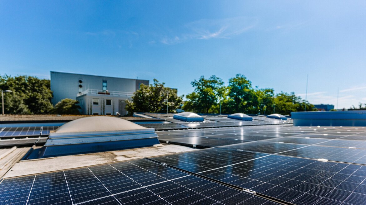Reihen von Solarmodulen auf einem Dach, die das Sonnenlicht reflektieren; im Hintergrund sind unter einem strahlend blauen Himmel Bäume und ein weißes Gebäude zu sehen.