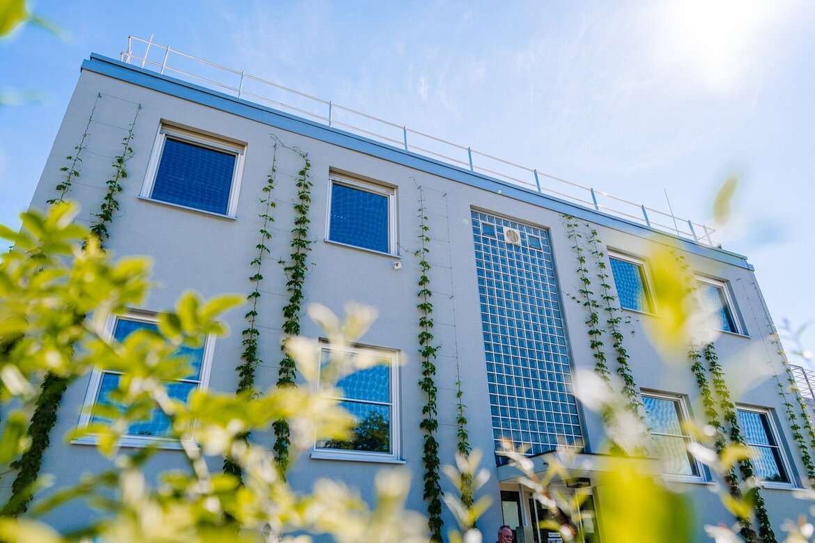 Ein modernes weißes Gebäude mit großen Fenstern und Glasbausteinen, das von vertikal wachsenden grünen Ranken bewachsen ist, ist unter einem strahlend blauen Himmel durch üppiges Grün zu sehen.